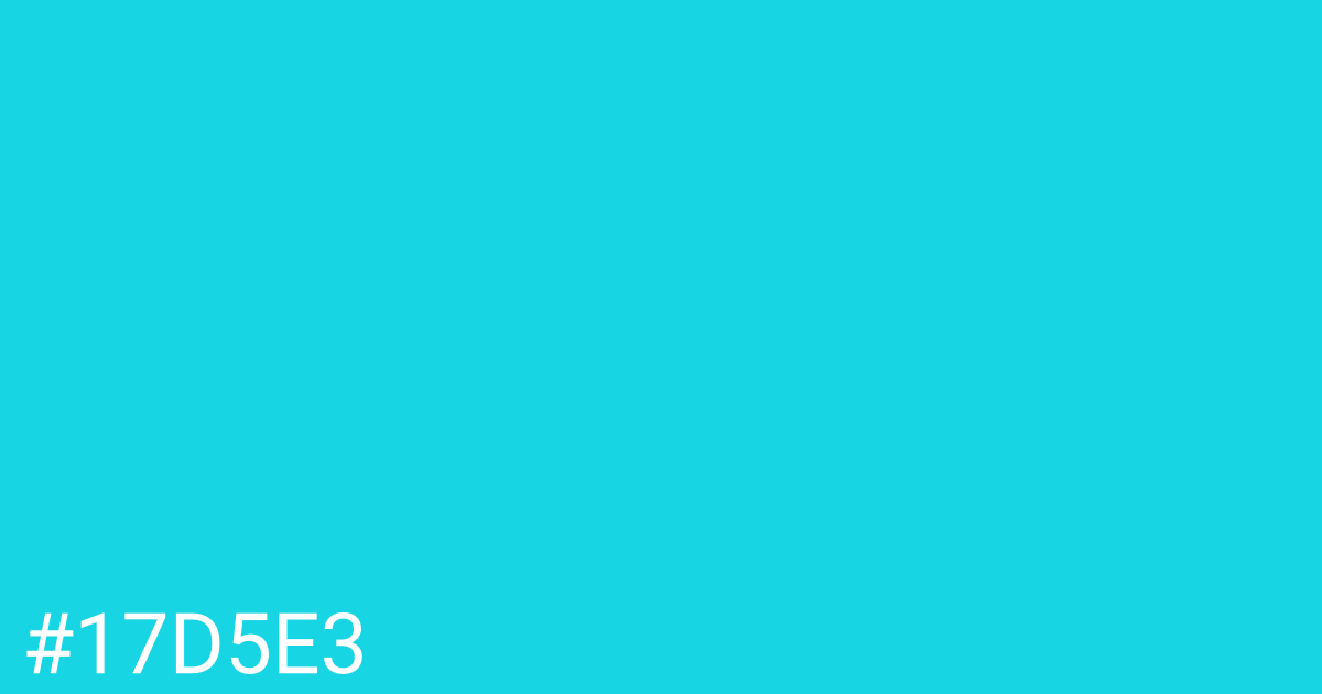 Hex color #17d5e3 graphic