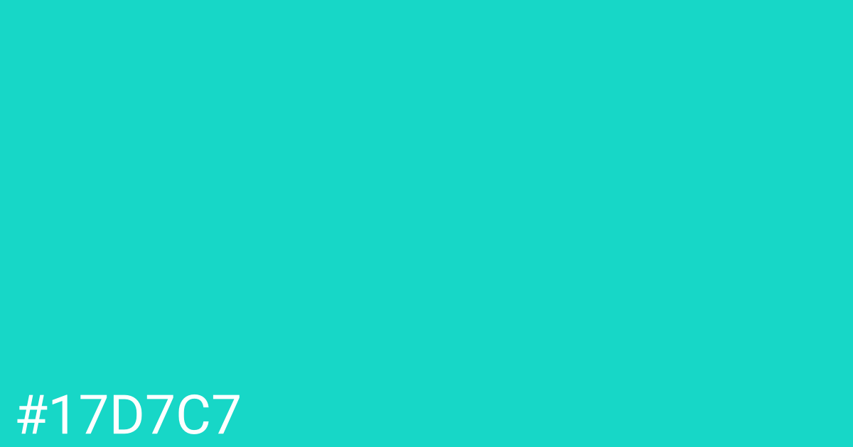 Hex color #17d7c7 graphic
