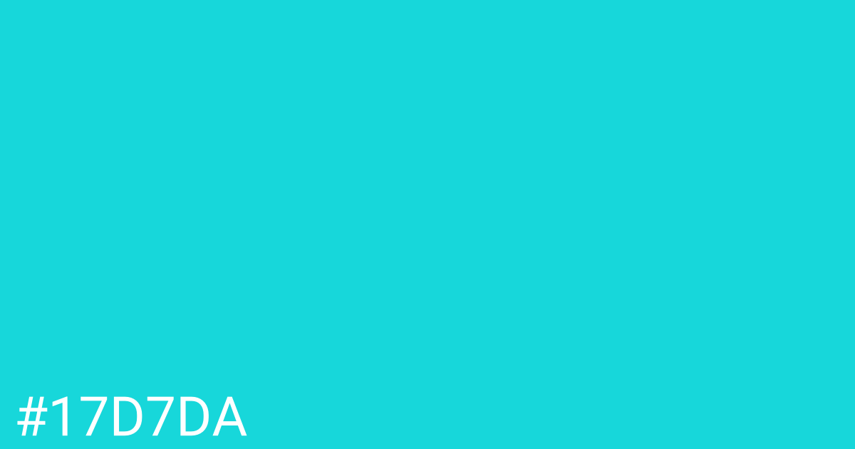 Hex color #17d7da graphic