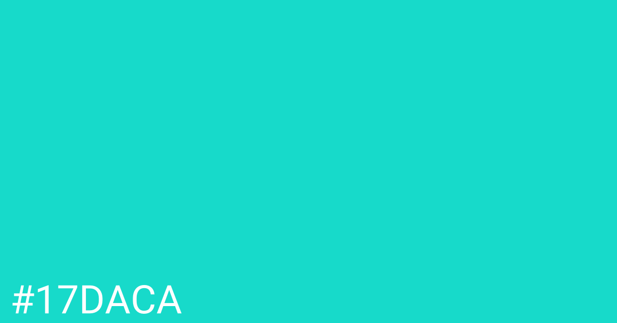 Hex color #17daca graphic