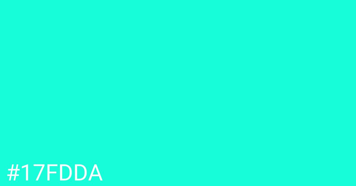 Hex color #17fdda graphic