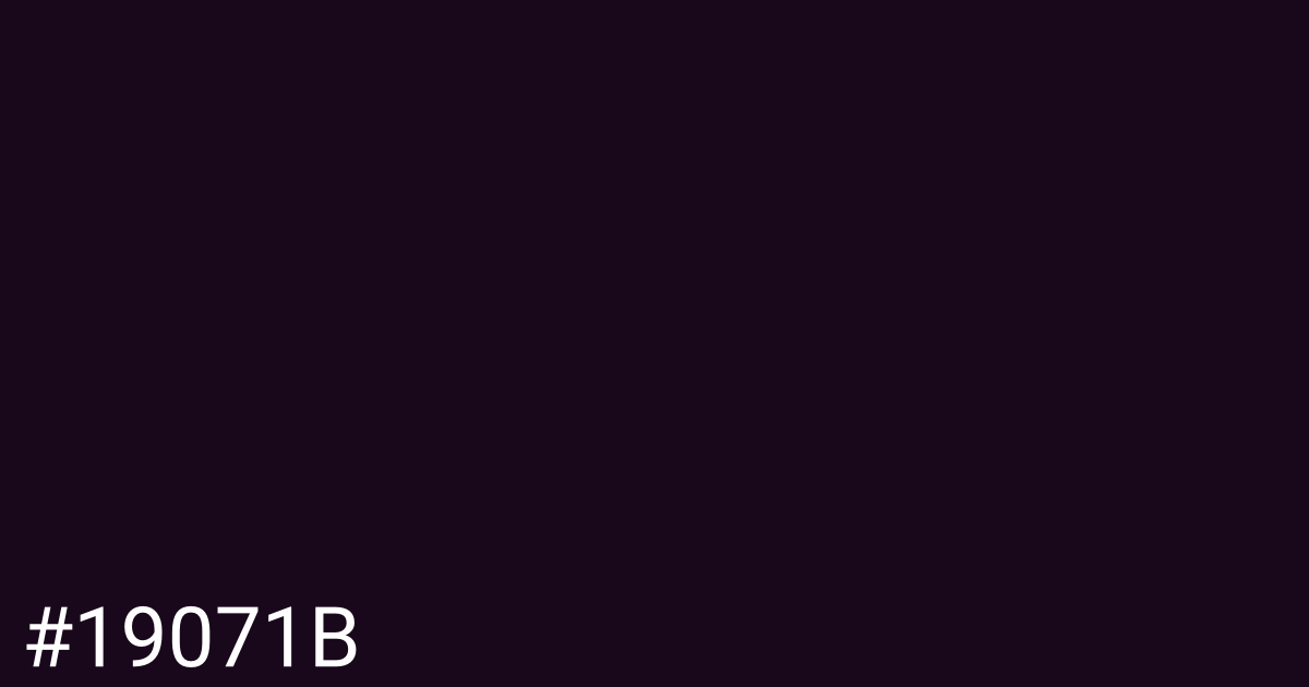 Hex color #19071b graphic