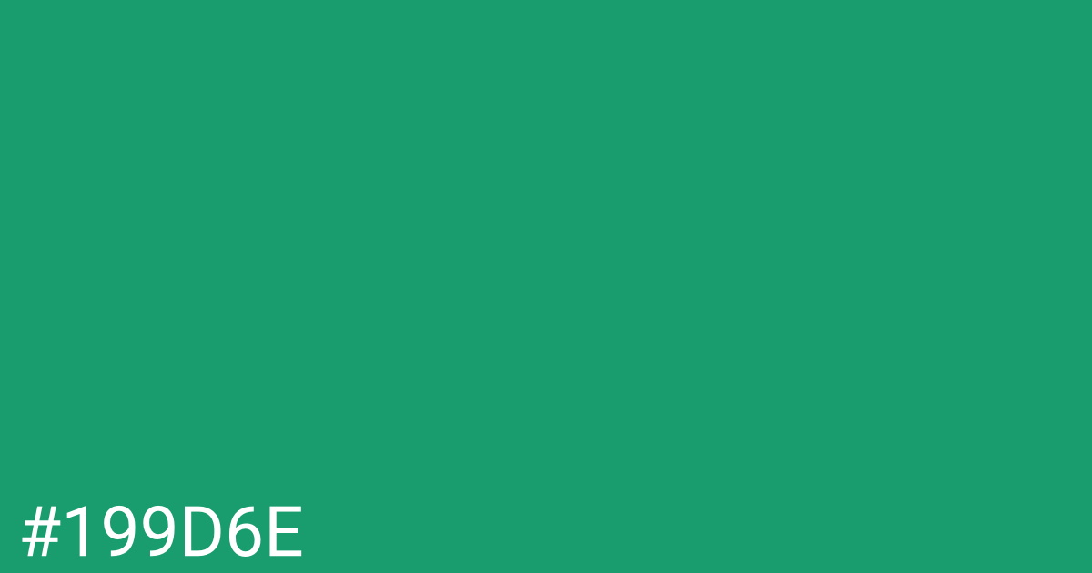 Hex color #199d6e graphic