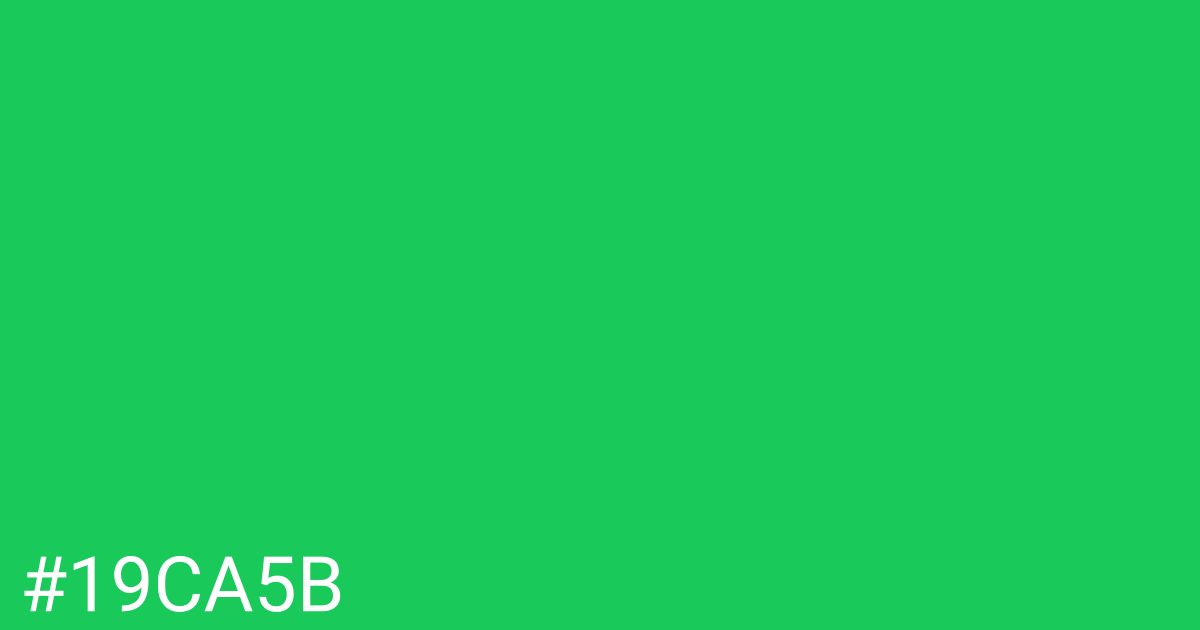 Hex color #19ca5b graphic