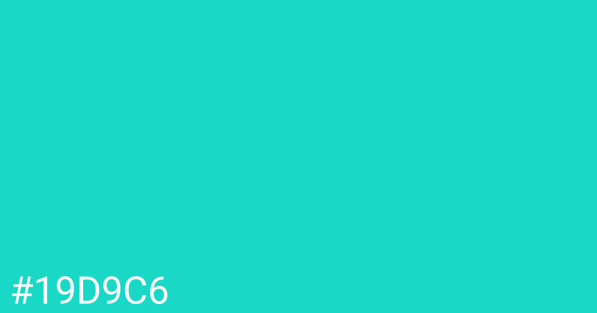 Hex color #19d9c6 graphic