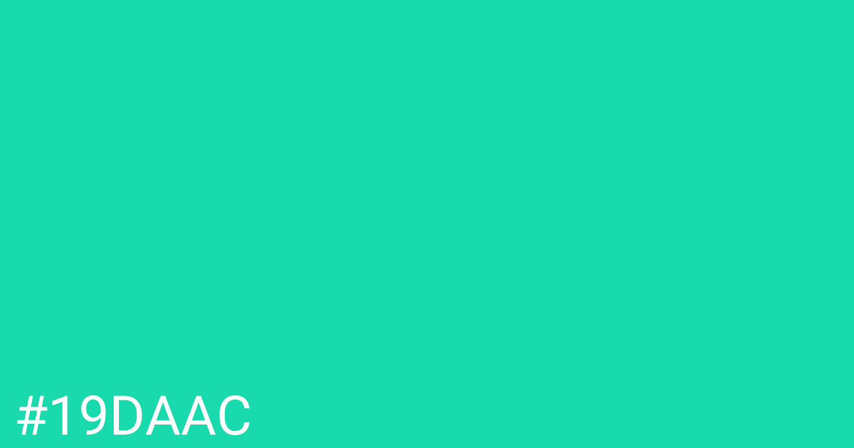 Hex color #19daac graphic