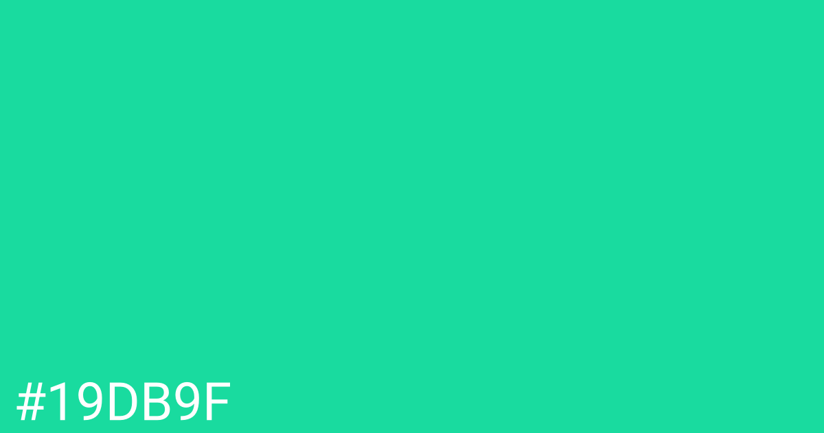 Hex color #19db9f graphic