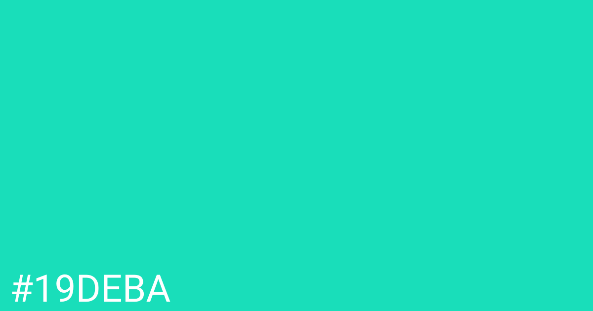 Hex color #19deba graphic