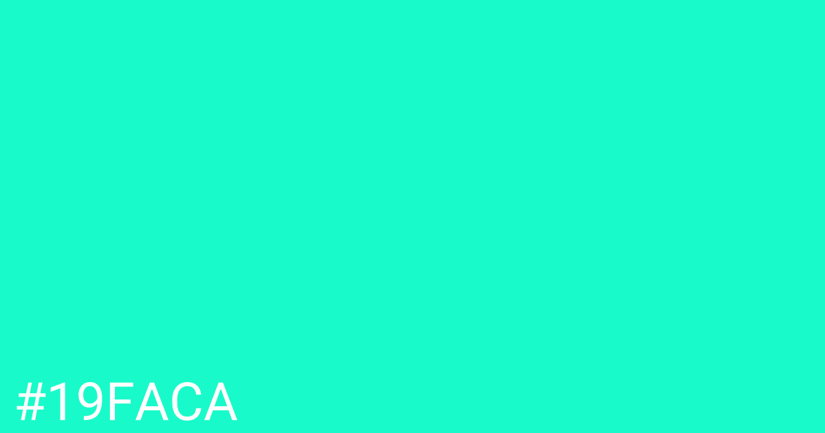 Hex color #19faca graphic