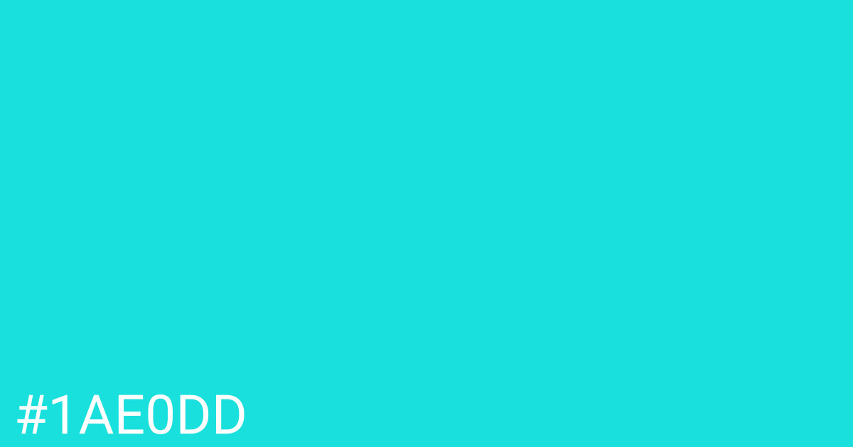 Hex color #1ae0dd graphic