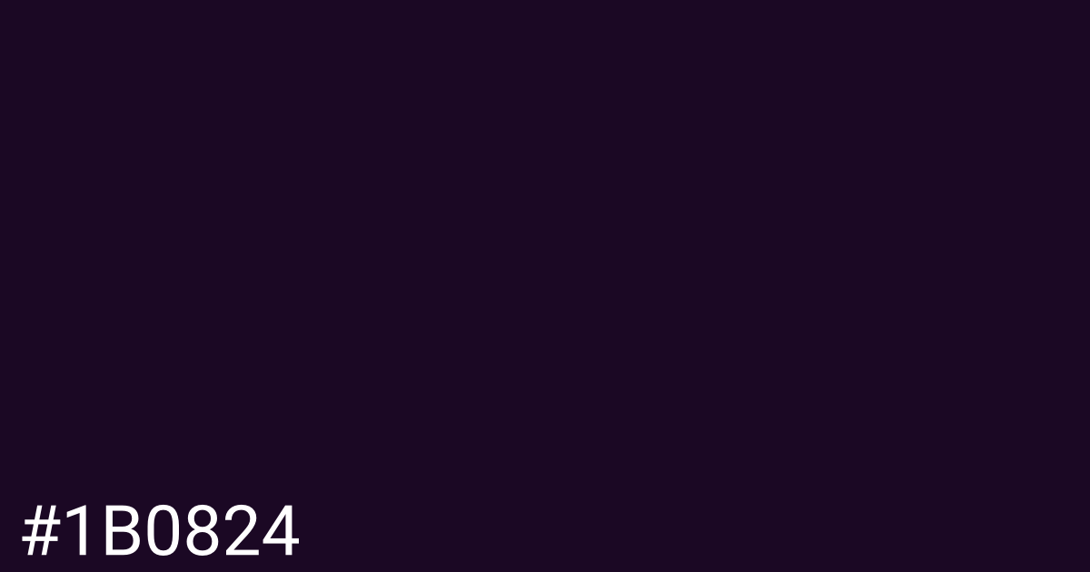 Hex color #1b0824 graphic