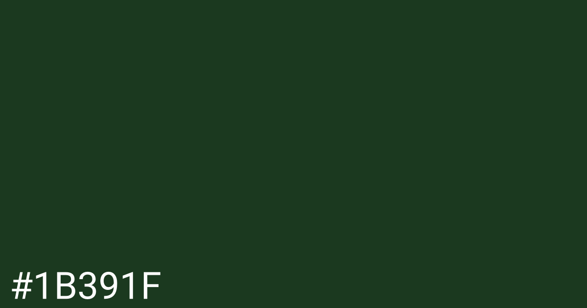 Hex color #1b391f graphic