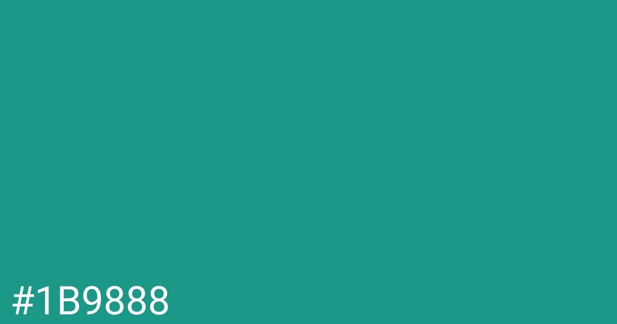 Hex color #1b9888 graphic