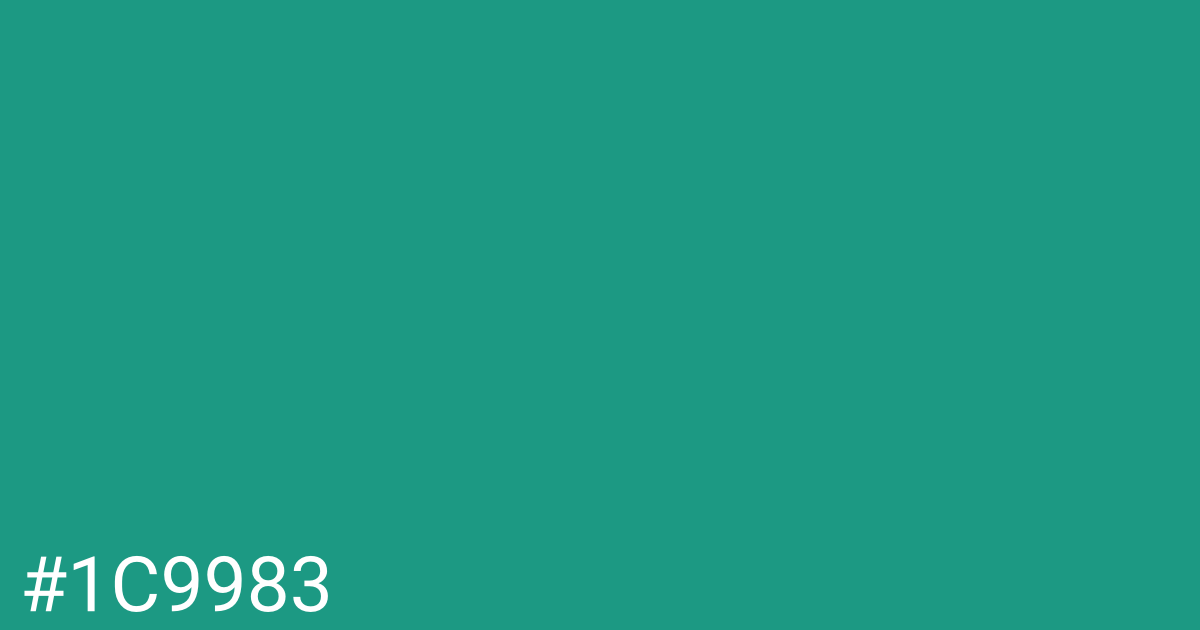 Hex color #1c9983 graphic