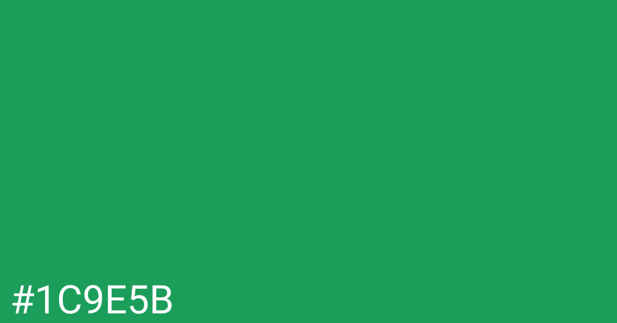 Hex color #1c9e5b graphic