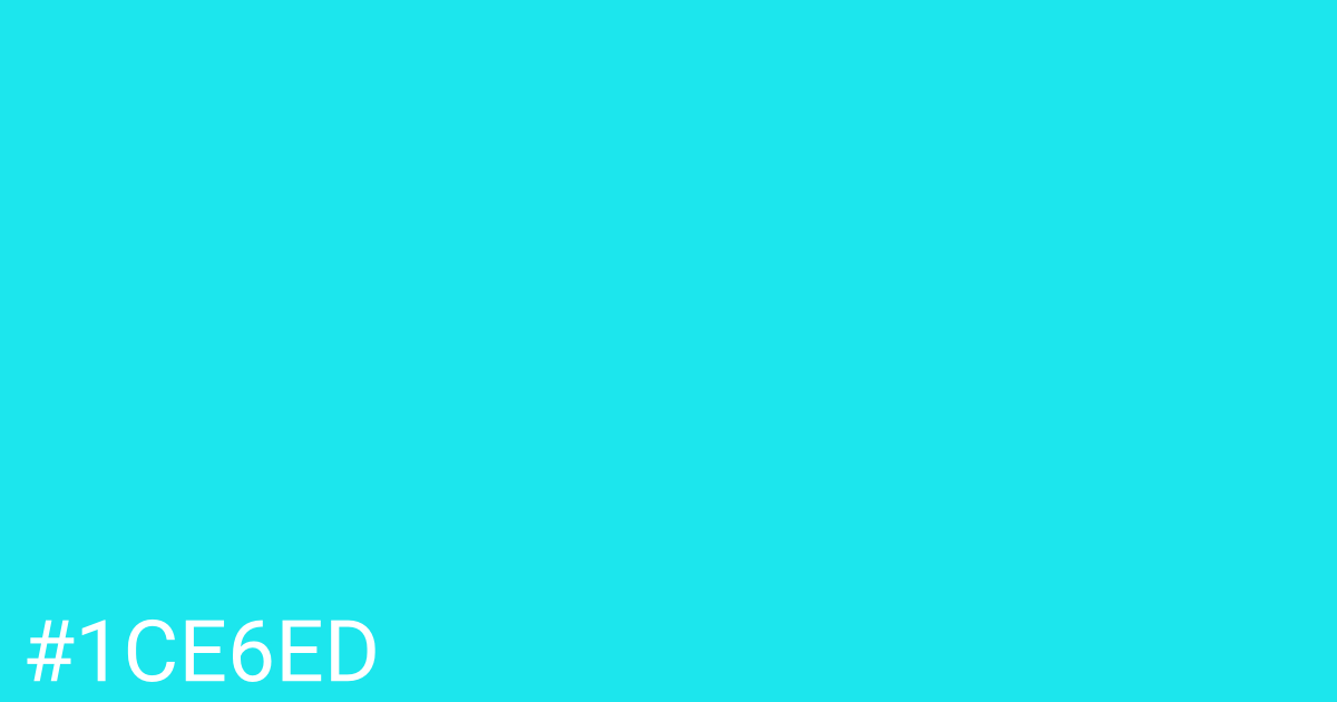 Hex color #1ce6ed graphic
