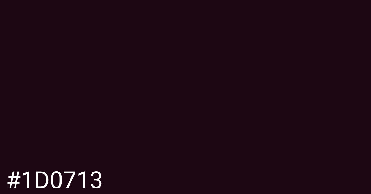 Hex color #1d0713 graphic