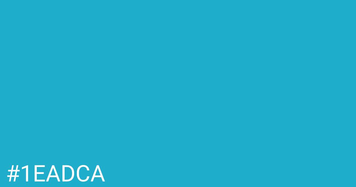 Hex color #1eadca graphic