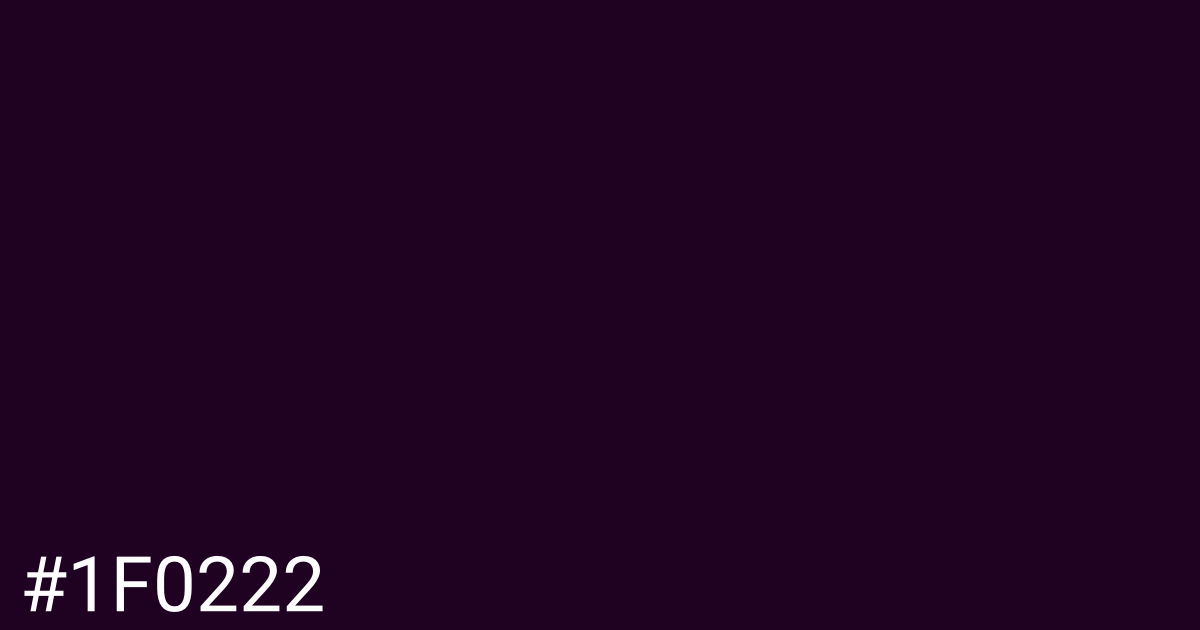 Hex color #1f0222 graphic