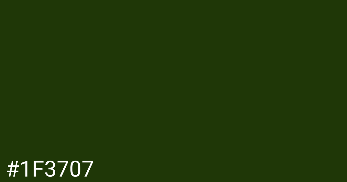 Hex color #1f3707 graphic