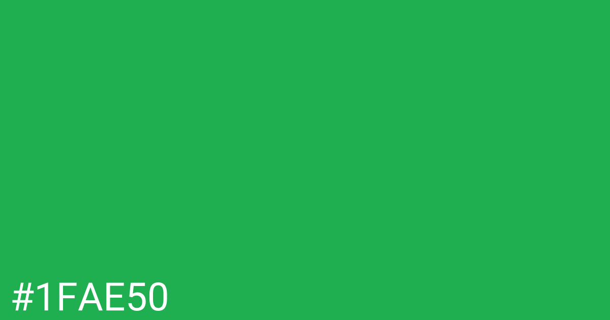 Hex color #1fae50 graphic
