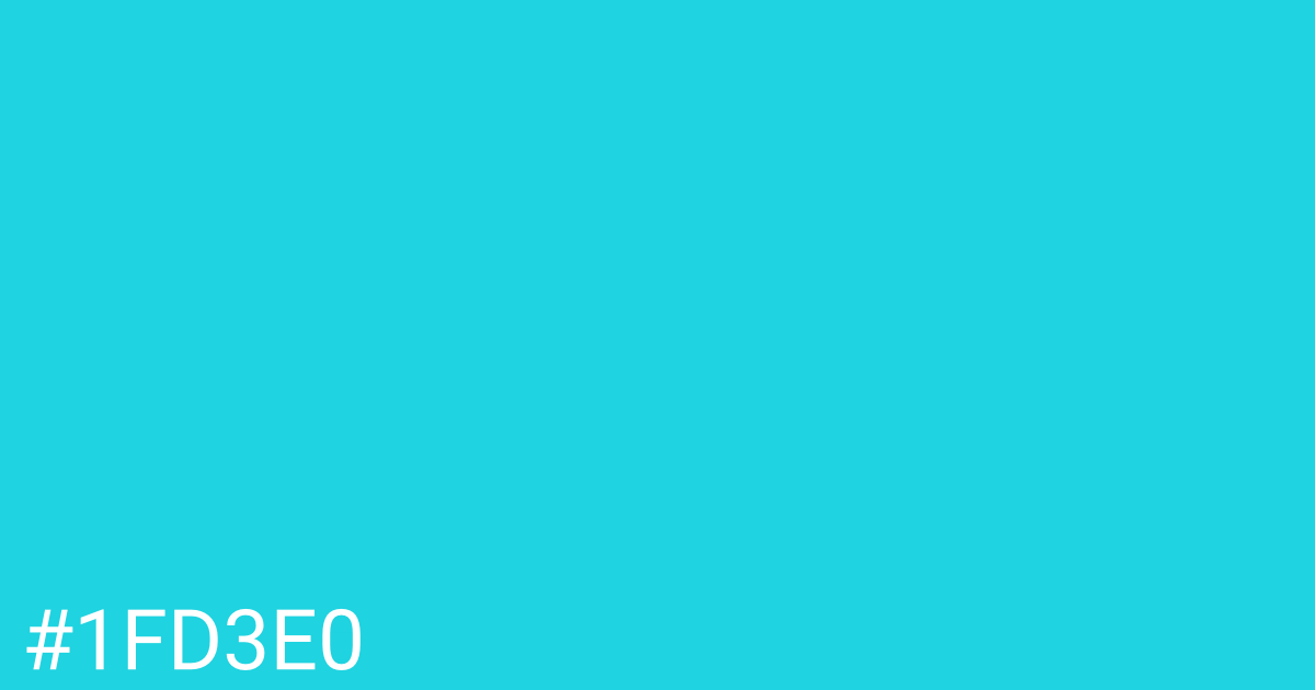Hex color #1fd3e0 graphic