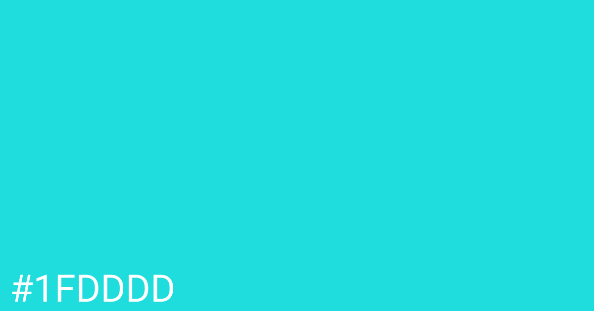 Hex color #1fdddd graphic