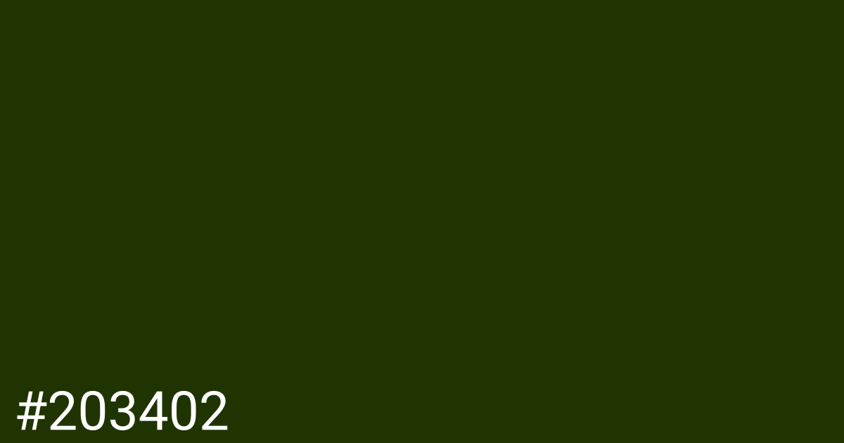 Hex color #203402 graphic