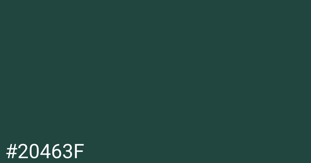 Hex color #20463f graphic