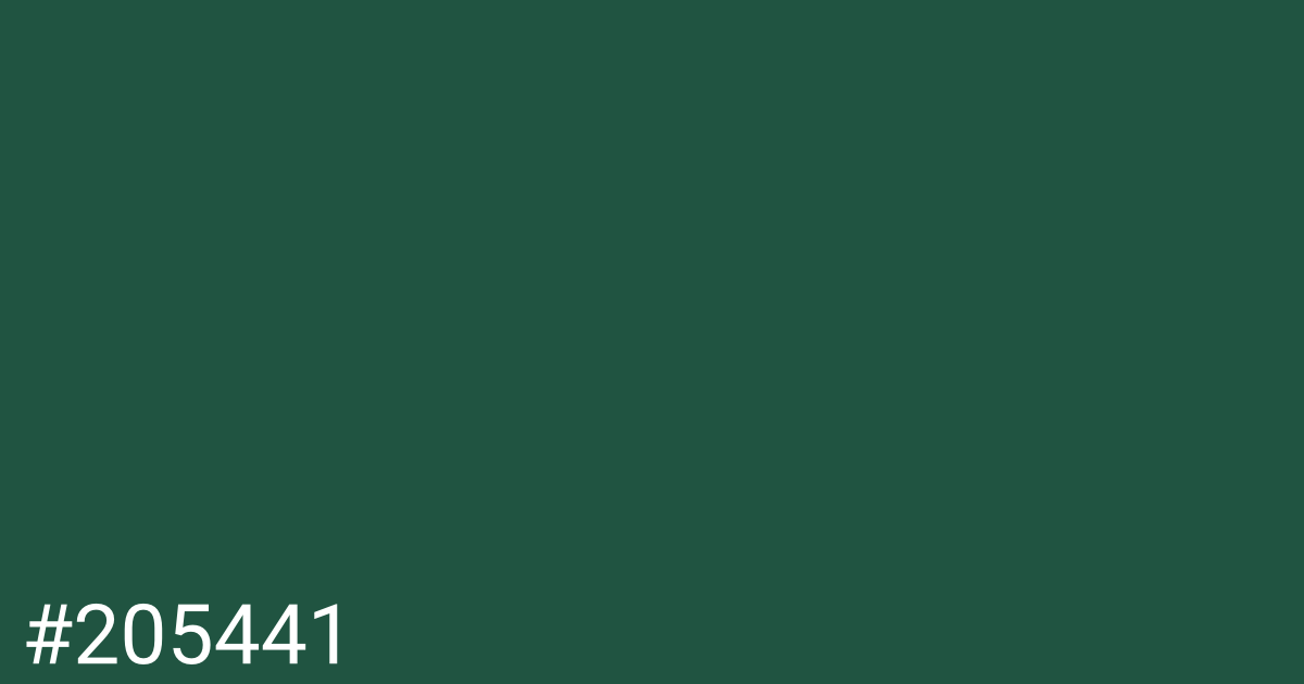 Hex color #205441 graphic