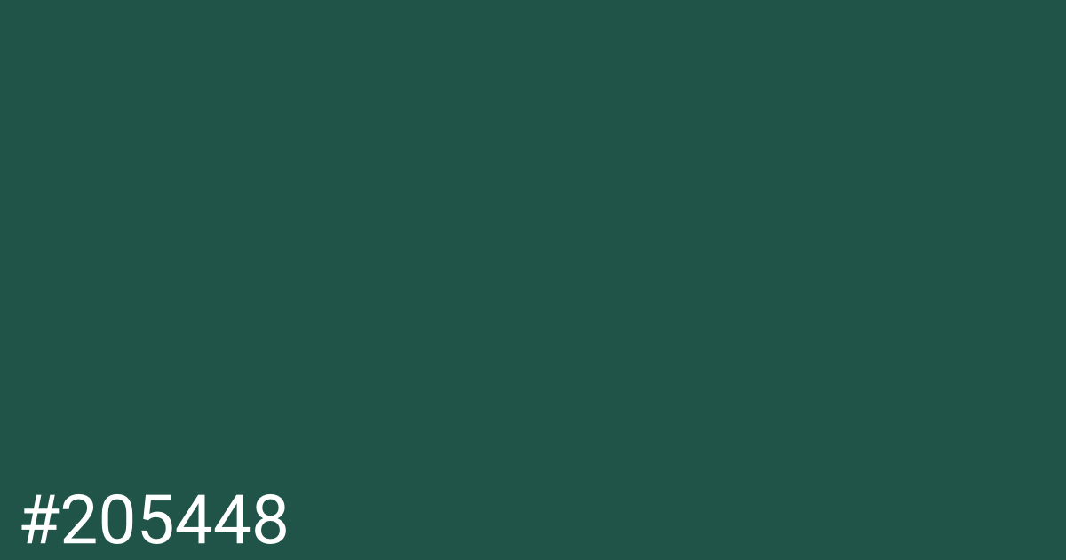 Hex color #205448 graphic