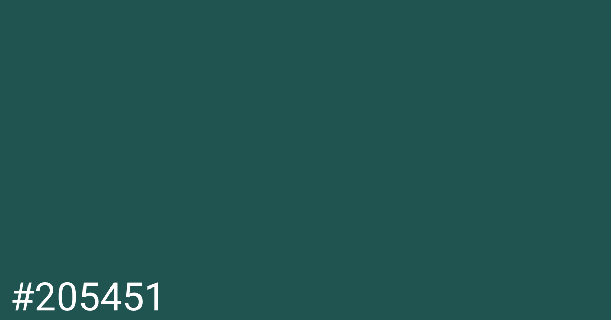 Hex color #205451 graphic