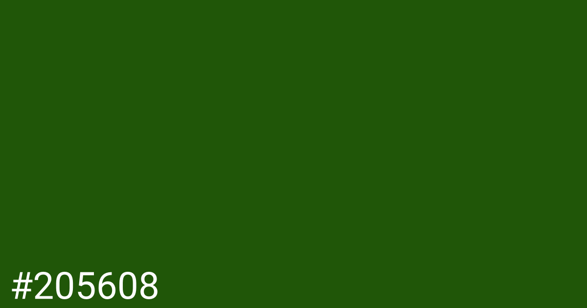 Hex color #205608 graphic