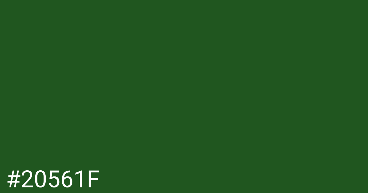 Hex color #20561f graphic