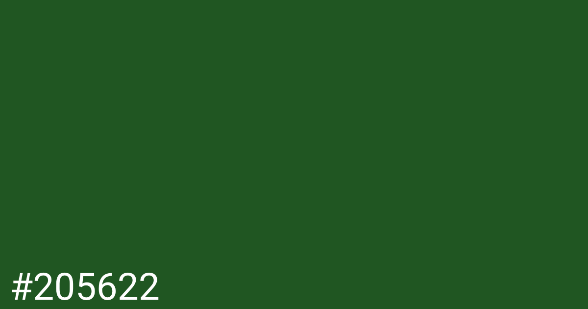 Hex color #205622 graphic