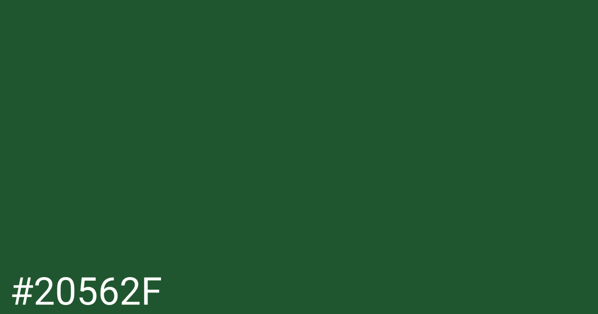 Hex color #20562f graphic