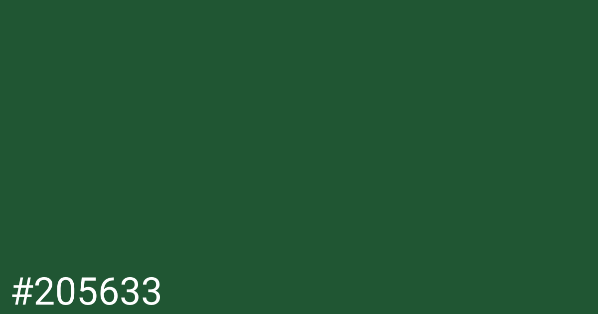 Hex color #205633 graphic