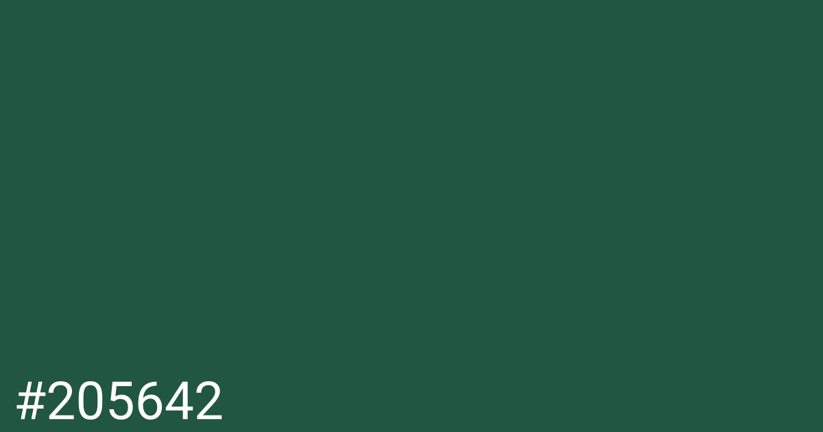 Hex color #205642 graphic