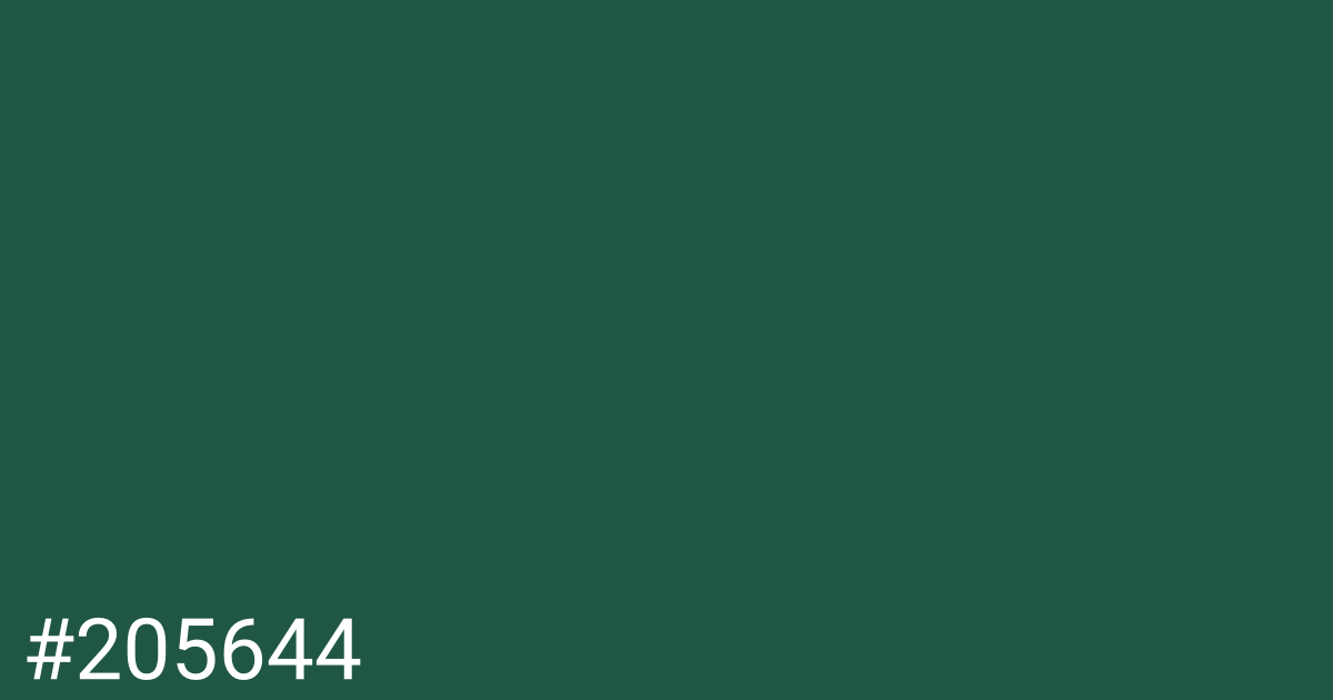 Hex color #205644 graphic