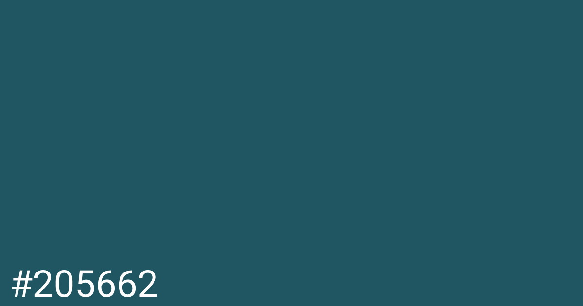 Hex color #205662 graphic