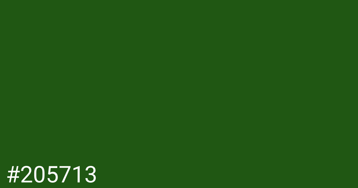 Hex color #205713 graphic