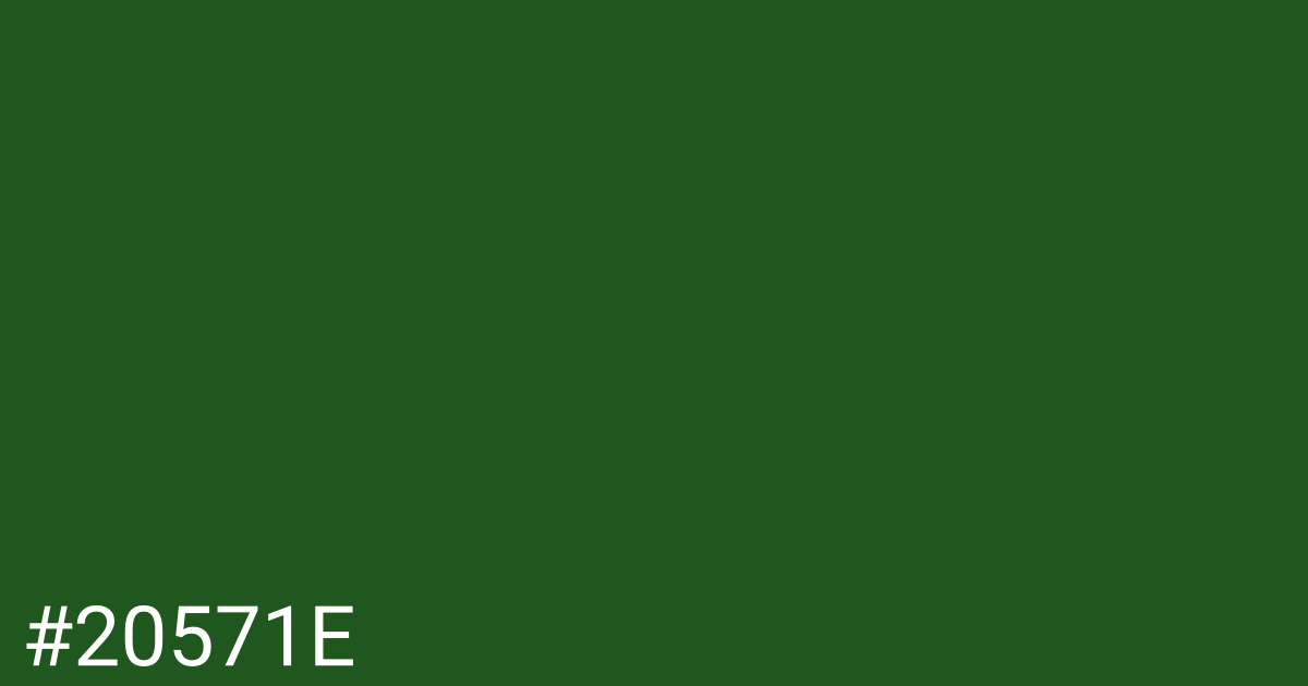 Hex color #20571e graphic