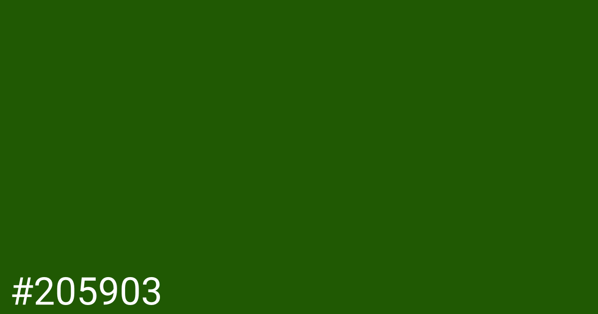 Hex color #205903 graphic