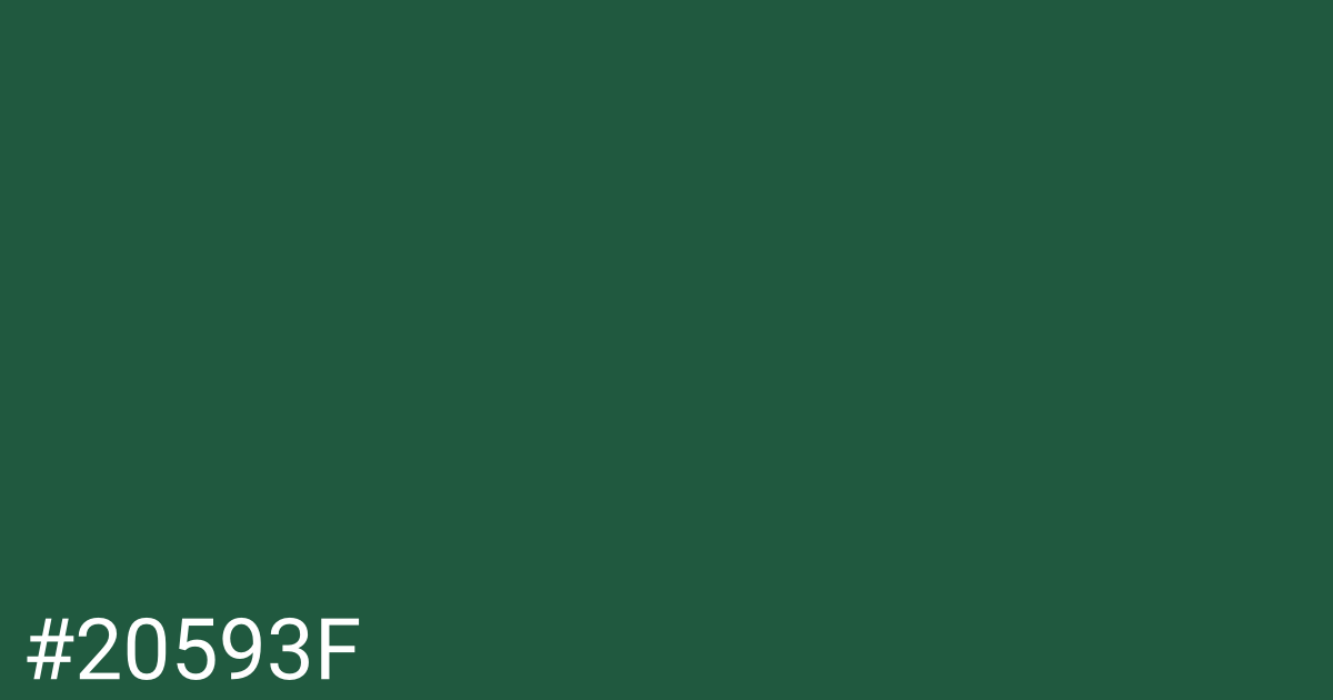 Hex color #20593f graphic