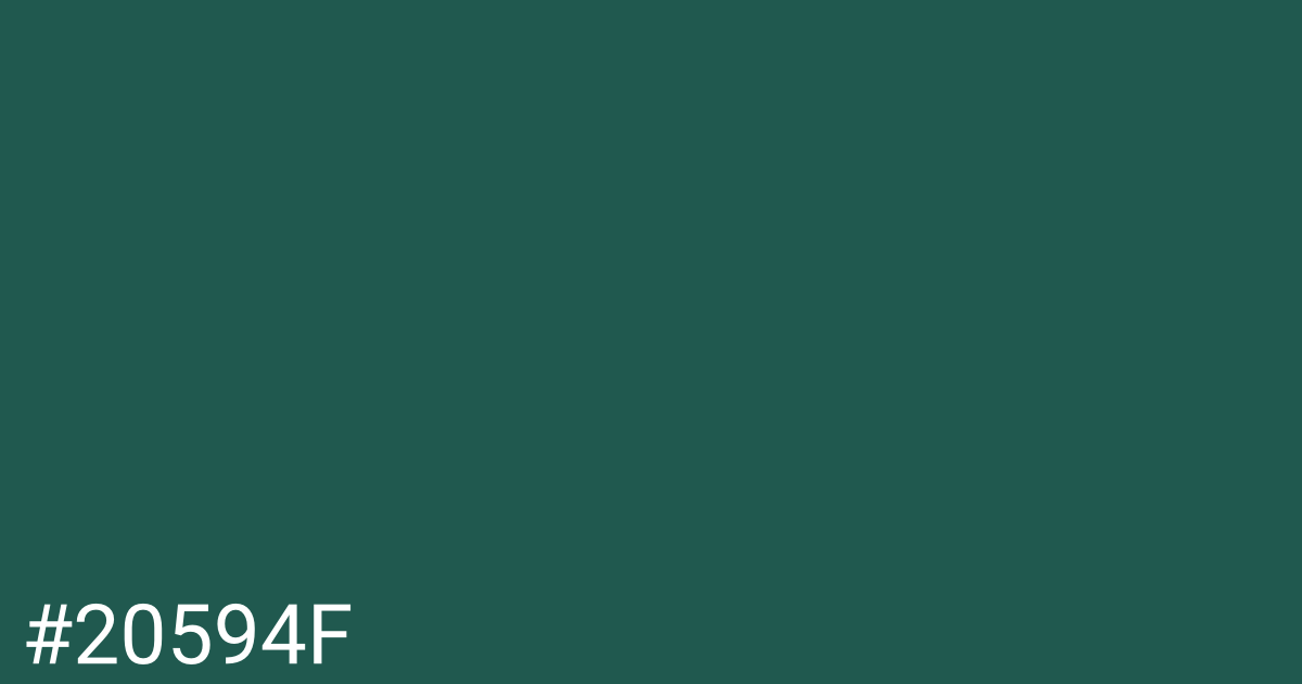 Hex color #20594f graphic