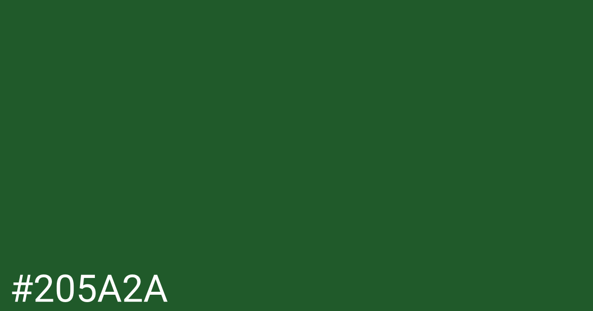 Hex color #205a2a graphic