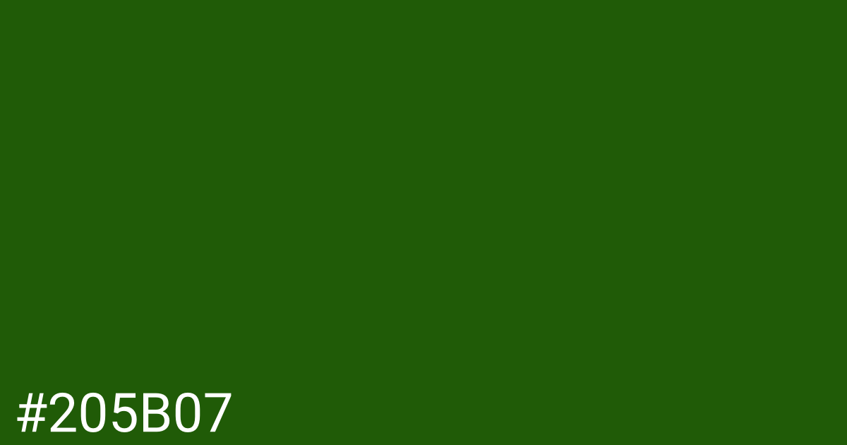 Hex color #205b07 graphic