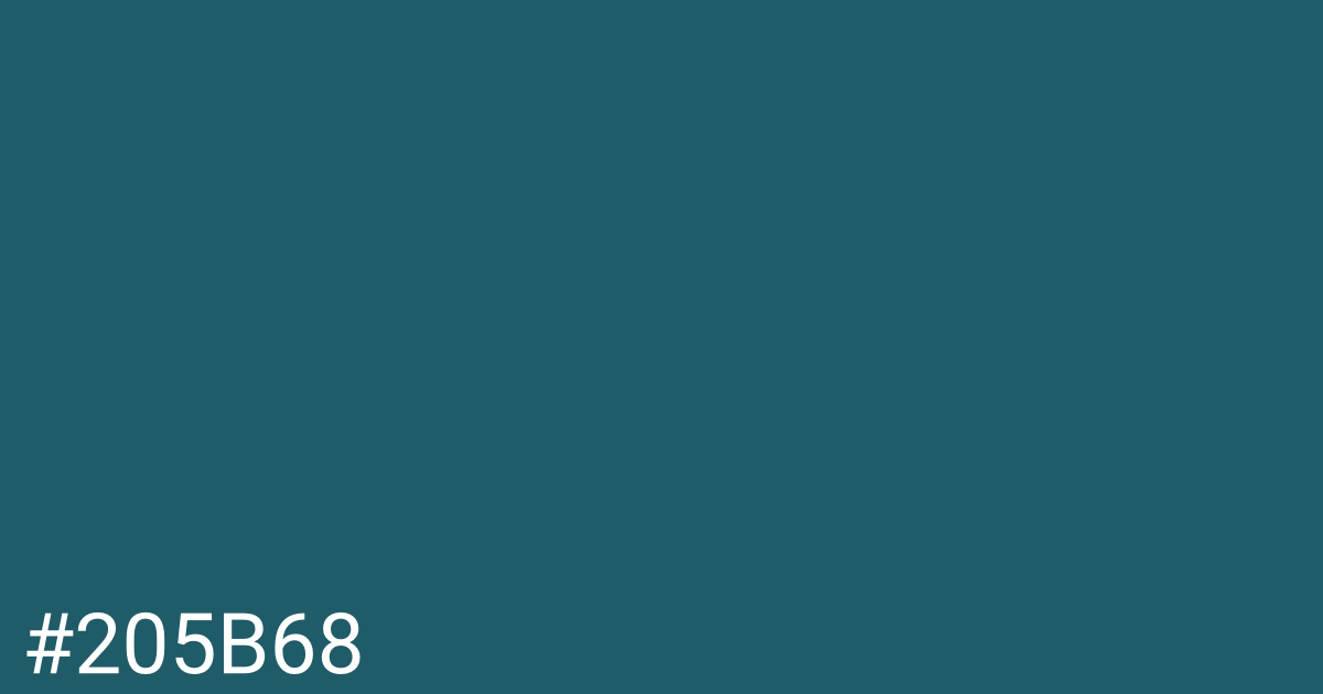 Hex color #205b68 graphic