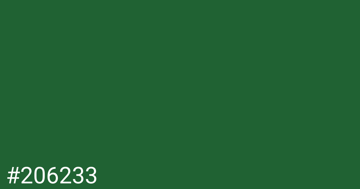 Hex color #206233 graphic