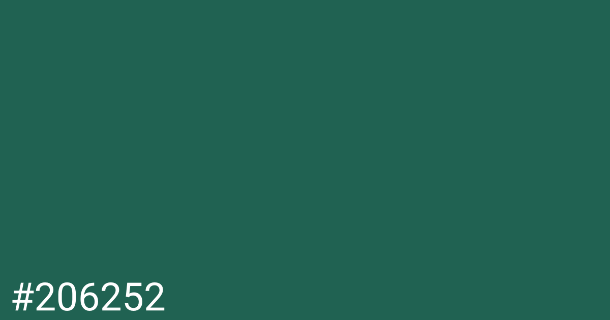 Hex color #206252 graphic